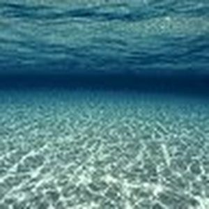 Meet your Posher, Cassandra